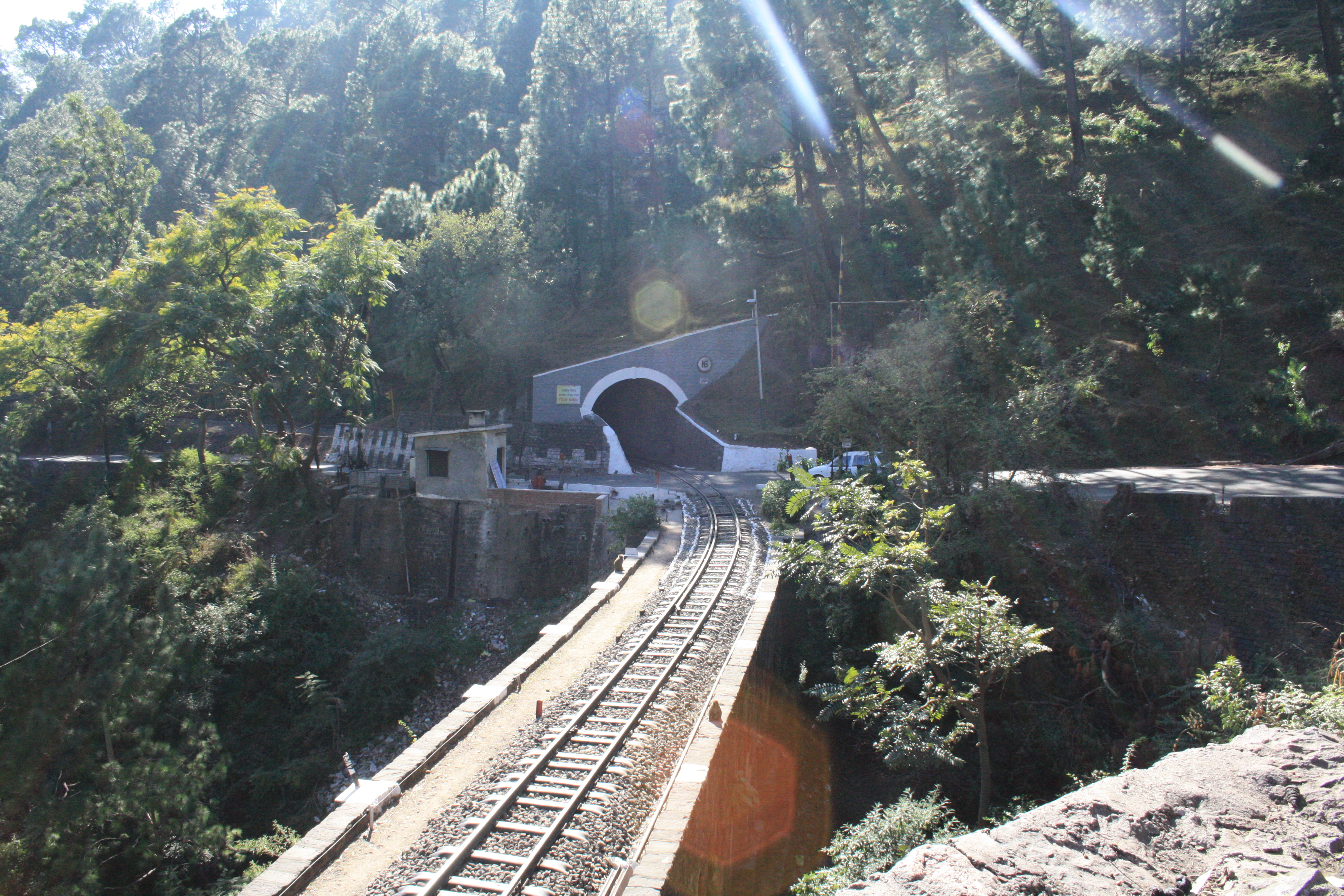 Kasauli
