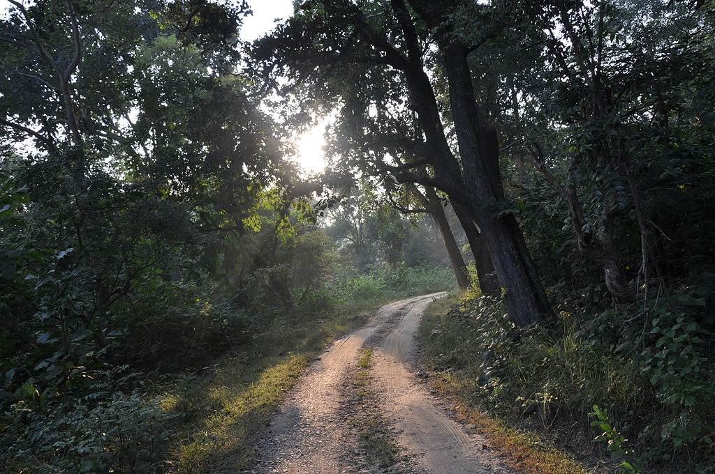 Corbett National Park